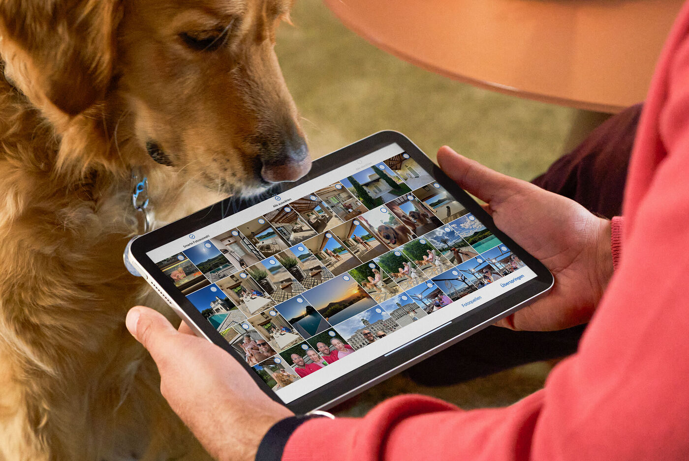 Person hält Tablet mit Urlaubsfotos. Ein Hund schaut neugierig auf die Bilder